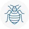 Bed Bug Extermination In Bromsgrove